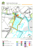 The new forest eight acre pond walking route
